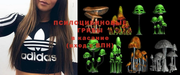 тгк Богданович